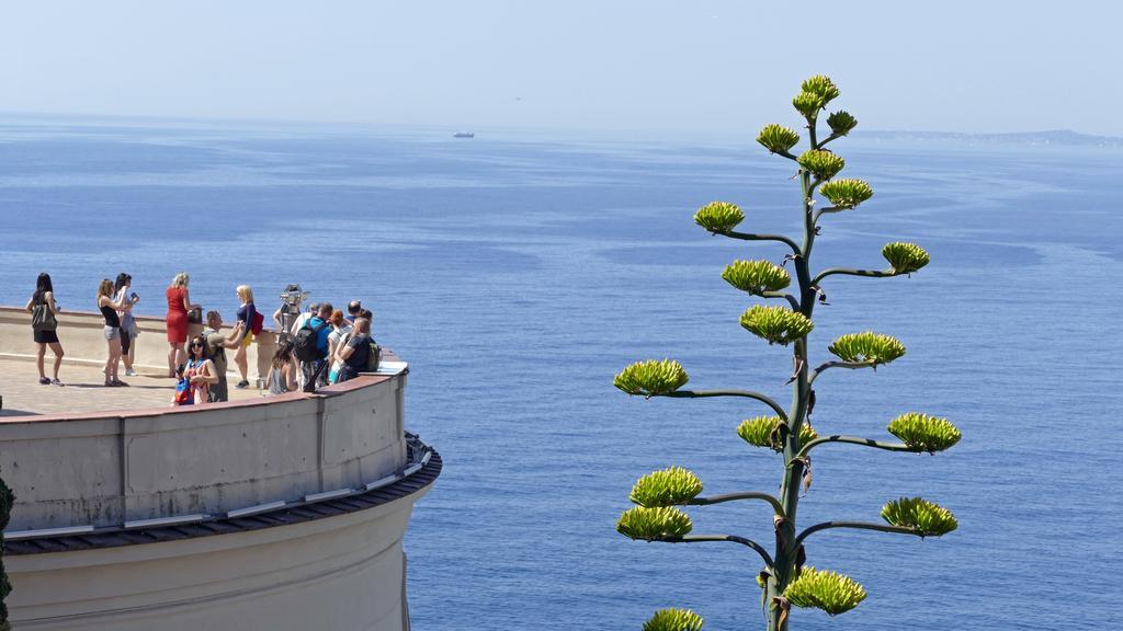 Chambre Chez L'Habitant Nice Baie Des Anges Kültér fotó